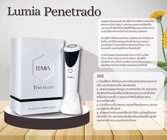 LM - Marketing & Advertisement - Brochure - Lumia Penetrado - 1Pack 500Pcs